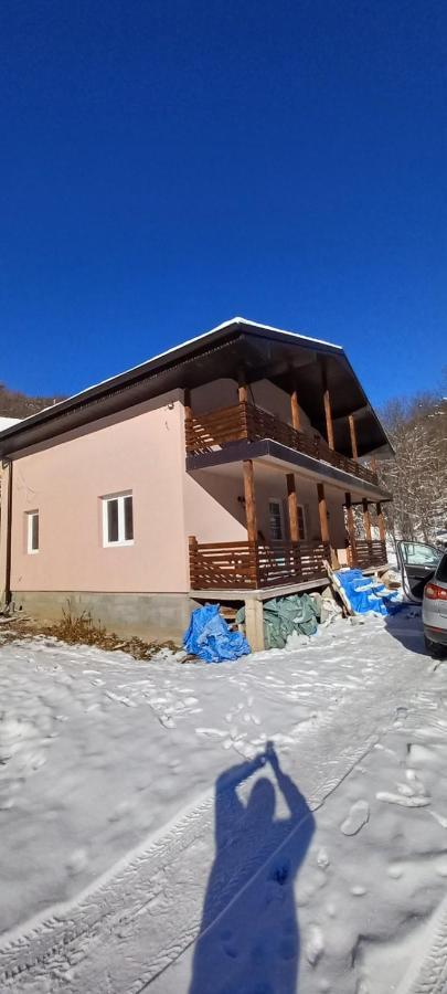 Vila Nika Crni Vrh 외부 사진